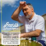قلب سنگی