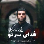 فدای سر تو