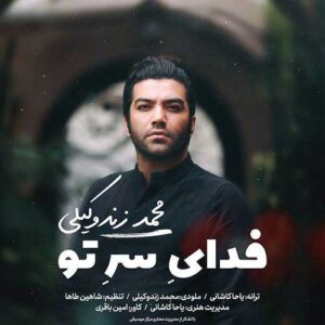 دانلود آهنگ محمد زندوکیلی به نام فدای سر تو