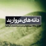 دانه های مروارید
