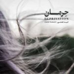 مجنون خیابانها
