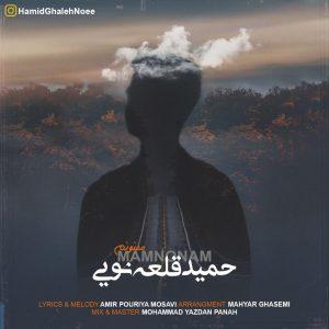حمید قلعه نویی