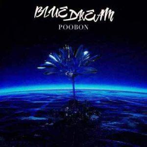 دانلود آهنگ پوبون به نام رویایی آبی