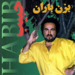 سردار جنگل