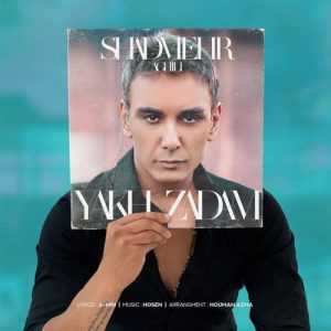 دانلود آهنگ شادمهر عقیلی به نام یخ زدم