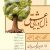 بال رویایی عشق