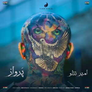 پرواز