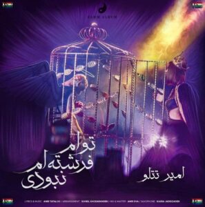 توام فرشته ام نبودی