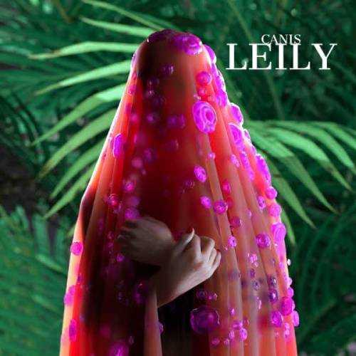 لیلی (Leily) - کنیس (Canis)