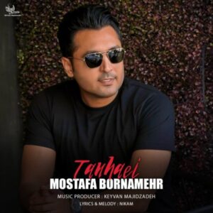 مصطفی برنامهر