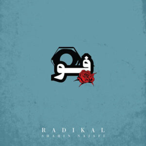 دانلود آهنگ شاهین نجفی به نام فو