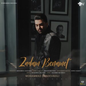 دانلود آهنگ محمد زندوکیلی به نام زدم به نامت