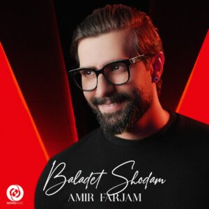 دانلود آهنگ امیر فرجام به نام بلدت شدم