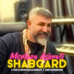 دانلود آهنگ مرتضی اشرفی به نام شبگرد