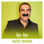 برو برو