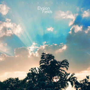 دانلود آهنگ بی کلام السا ویگ به نام میدان های الیزی