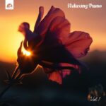 مطالعات