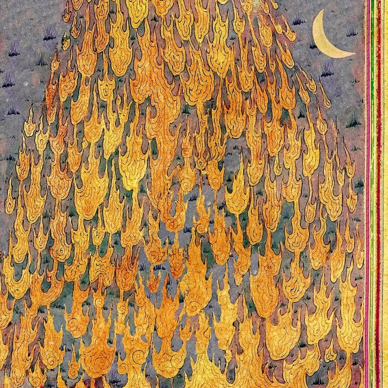 کولی (Koli) - اشکان فدایی (Ashkan Fadaei)