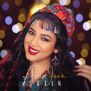 دانلود آهنگ ستین به نام عزیز جون