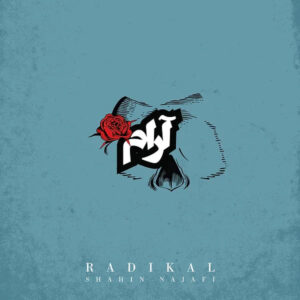 دانلود آهنگ شاهین نجفی به نام آرام