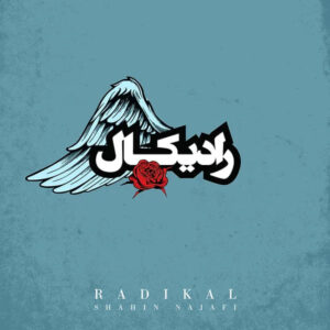 دانلود آهنگ شاهین نجفی به نام رادیکال