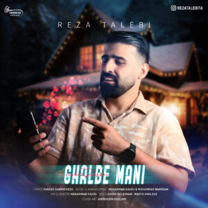 دانلود آهنگ رضا طالبی به نام قلب منی