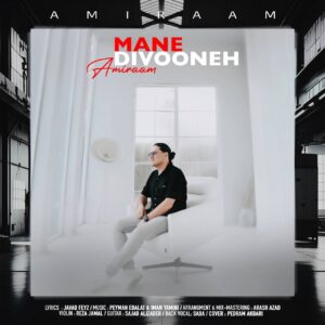دانلود آهنگ اميرام به نام منه ديوونه