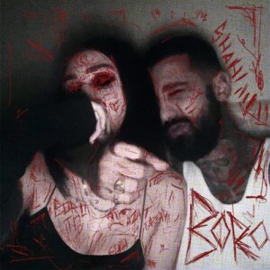 دانلود آهنگ سجاد شاهی به نام برو