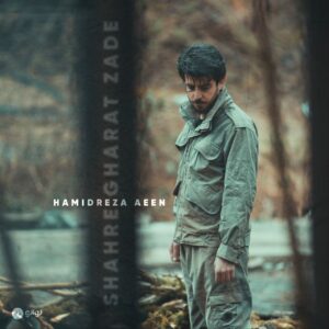 دانلود آهنگ حمیدرضا آیین به نام شهر غارت زده