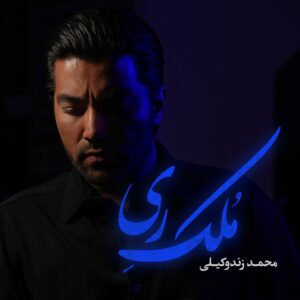 دانلود آهنگ محمد زندوکیلی به نام ملک ری