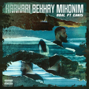 دانلود آهنگ بیبال و کنیس به نام هر کاری بخوای میکنیم