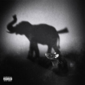 دانلود آهنگ چرسی به نام رت