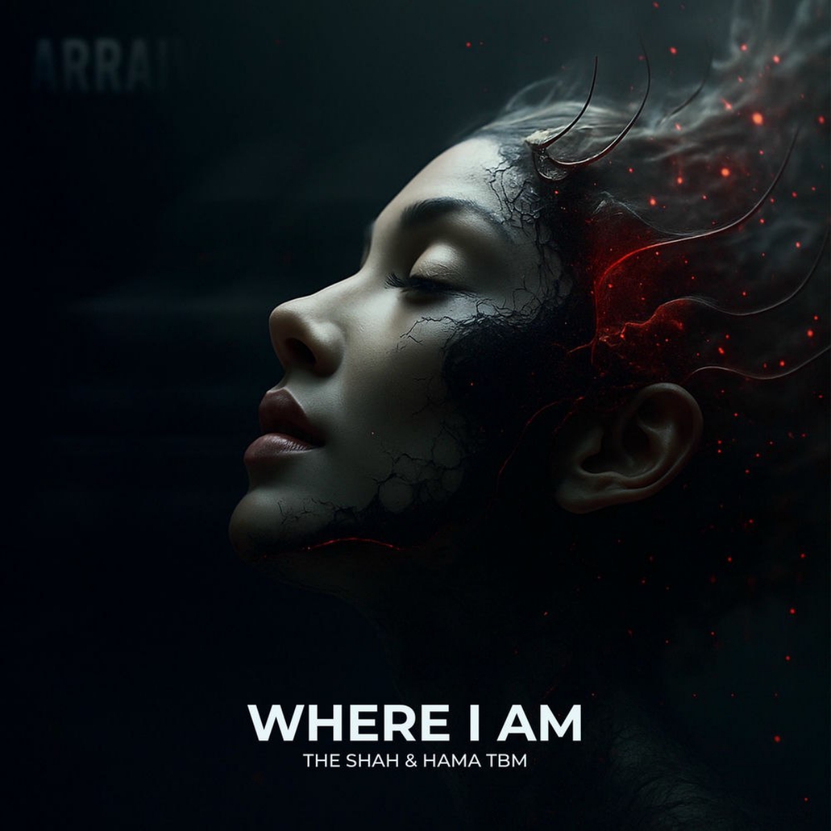 ور آی ام (Where I Am) - شاهین نجفی (Shahin Najafi)