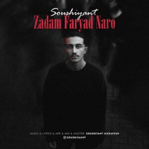 دانلود آهنگ سوشیانت به نام زدم فریاد نرو