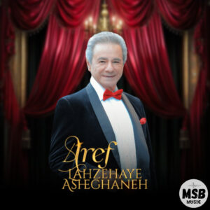 دانلود آهنگ عارف به نام لحظه های عاشقانه