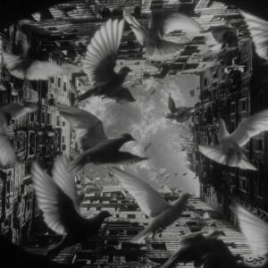 دانلود آهنگ بامداد به نام شیر خط