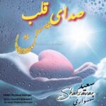 صدای قلب من