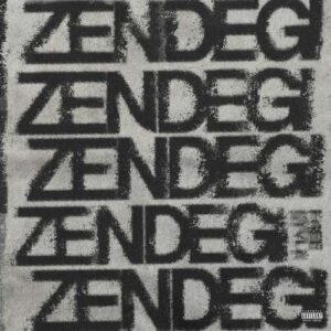 دانلود آهنگ چرسی به نام زندگی