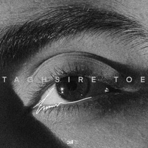 دانلود آهنگ حامیم به نام تقصیر توعه