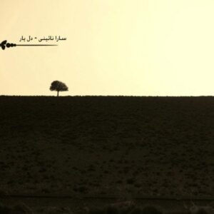 دانلود آهنگ سارا نائینی به نام دل یار