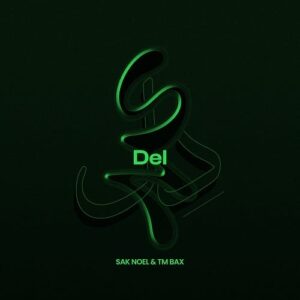 دانلود آهنگ تی ام بکس و ساک نوئل به نام دل