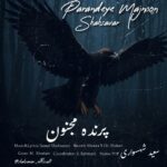 پرنده مجنون