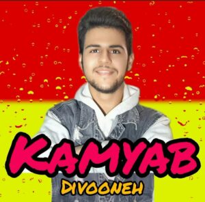 دانلود آهنگ کامیاب به نام دیوونه