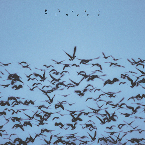 پلاک تئوری (Pluck Theory) - هنس بلو (Hans Blu)