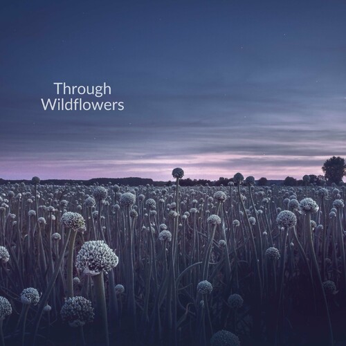 ترو وایلدفلورز (Through Wildflowers) - ایوان بیلسا (Ivan Bielsa)