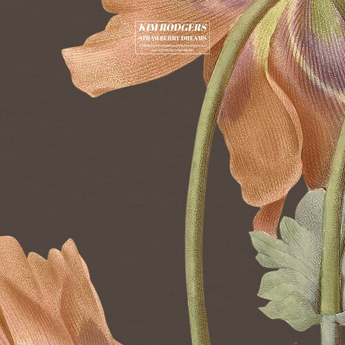 استرابری دریمز (Strawberry Dreams) - کیم راجرز (Kim Rodgers)