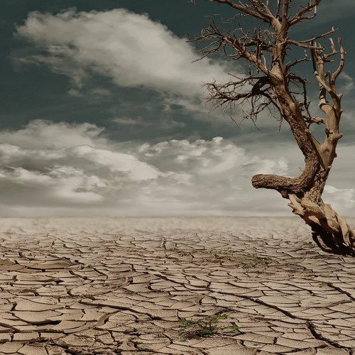 ویستلند (Wasteland) - لومینز (Luminez)