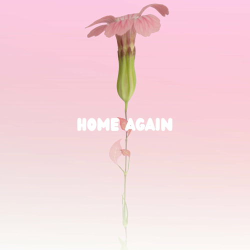 هوم اگین (Home Again) - پوکت ناین (Pocket Nine)