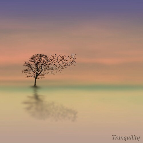 ترنکویلیتی (Tranquility) - ساوندز آو آور هوم (Sounds Of Our Home)