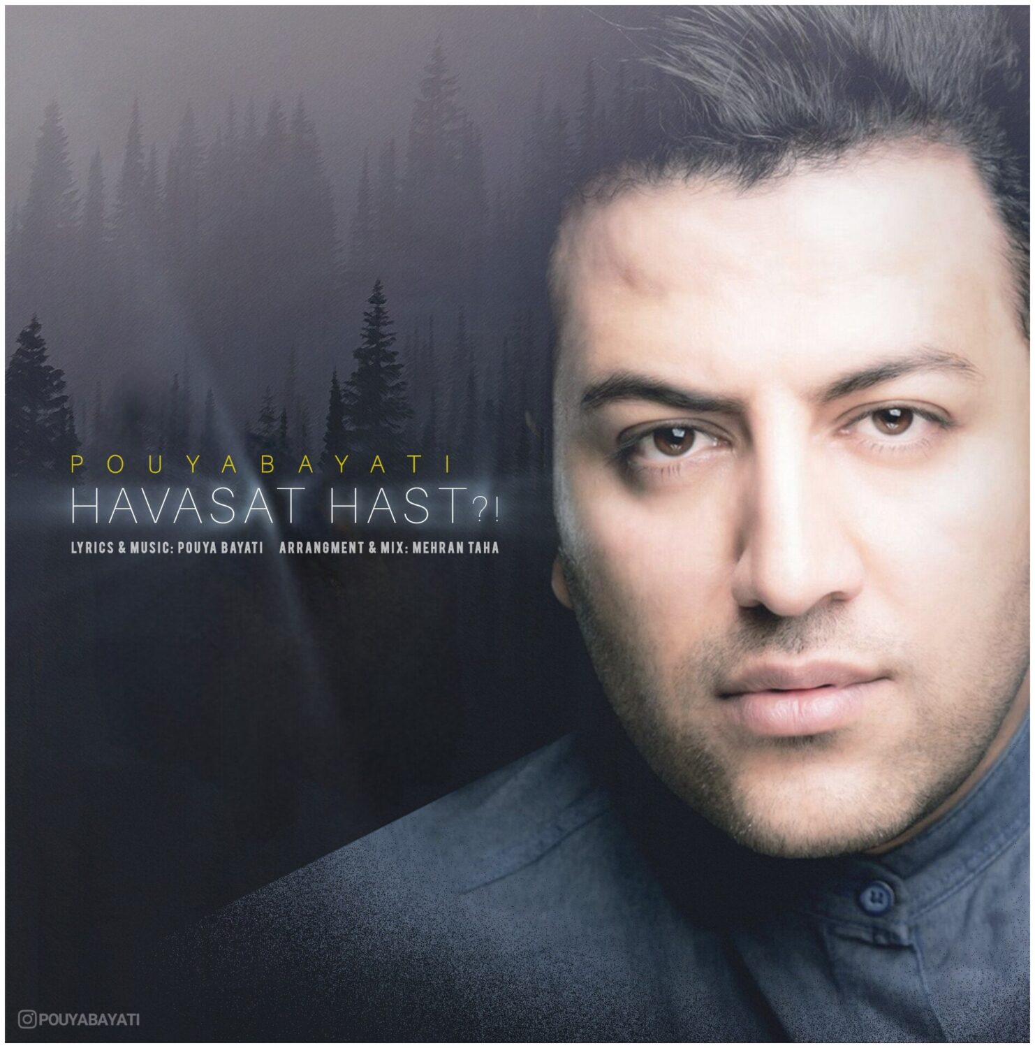 حواست هست (Havaset Hast) - پویا بیاتی (Pouya Bayati)
